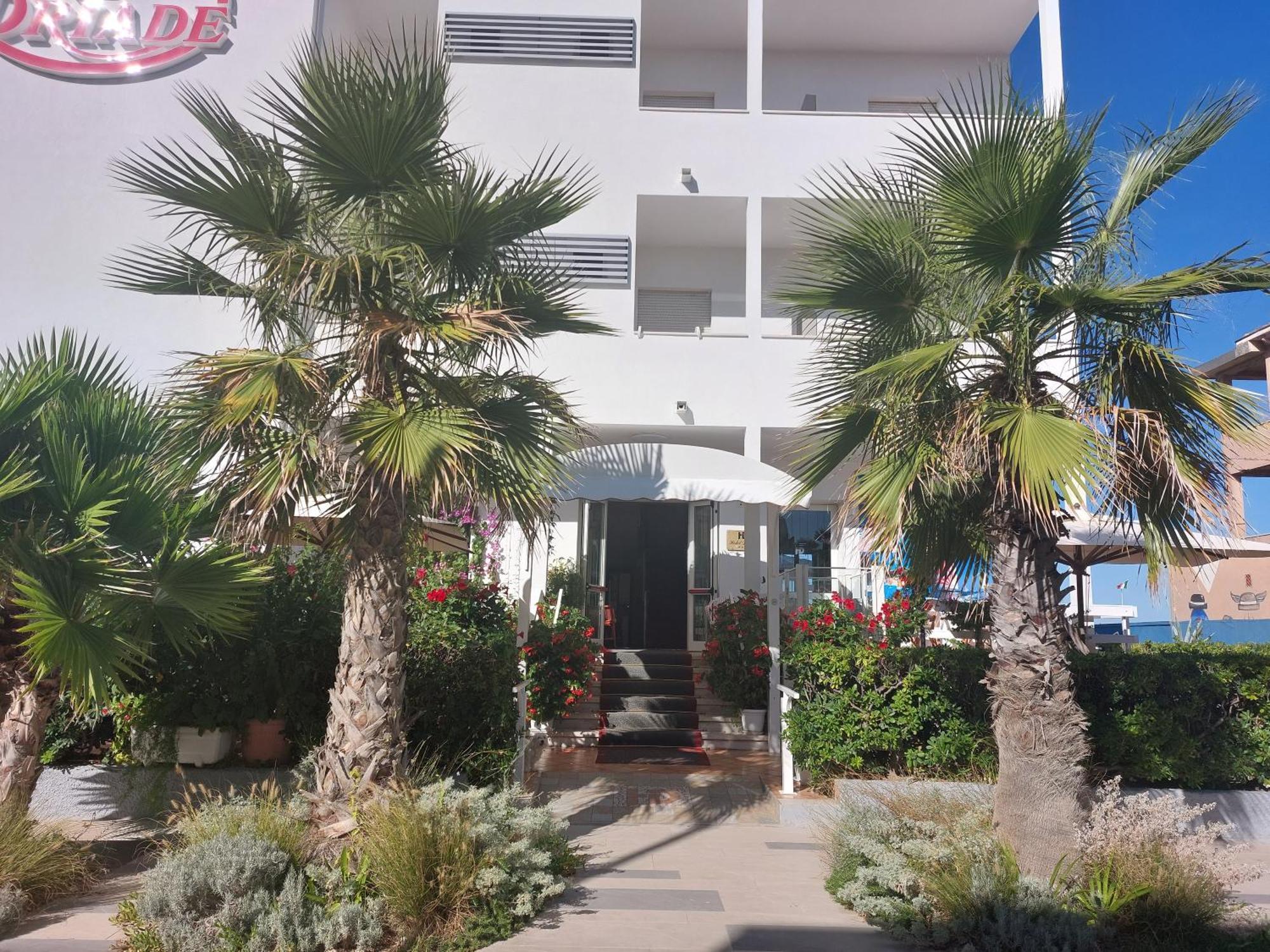 Hotel Driade Sul Mare リミニ エクステリア 写真