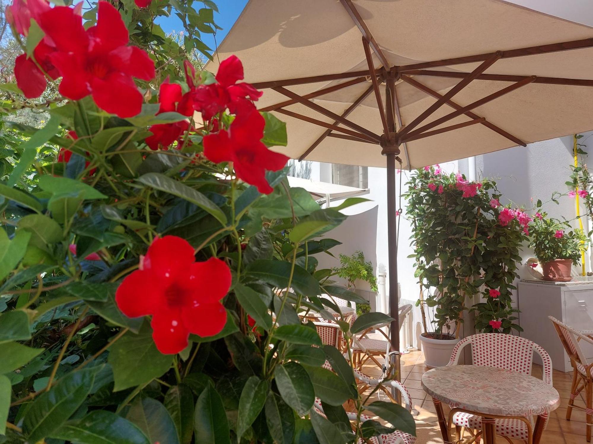 Hotel Driade Sul Mare リミニ エクステリア 写真