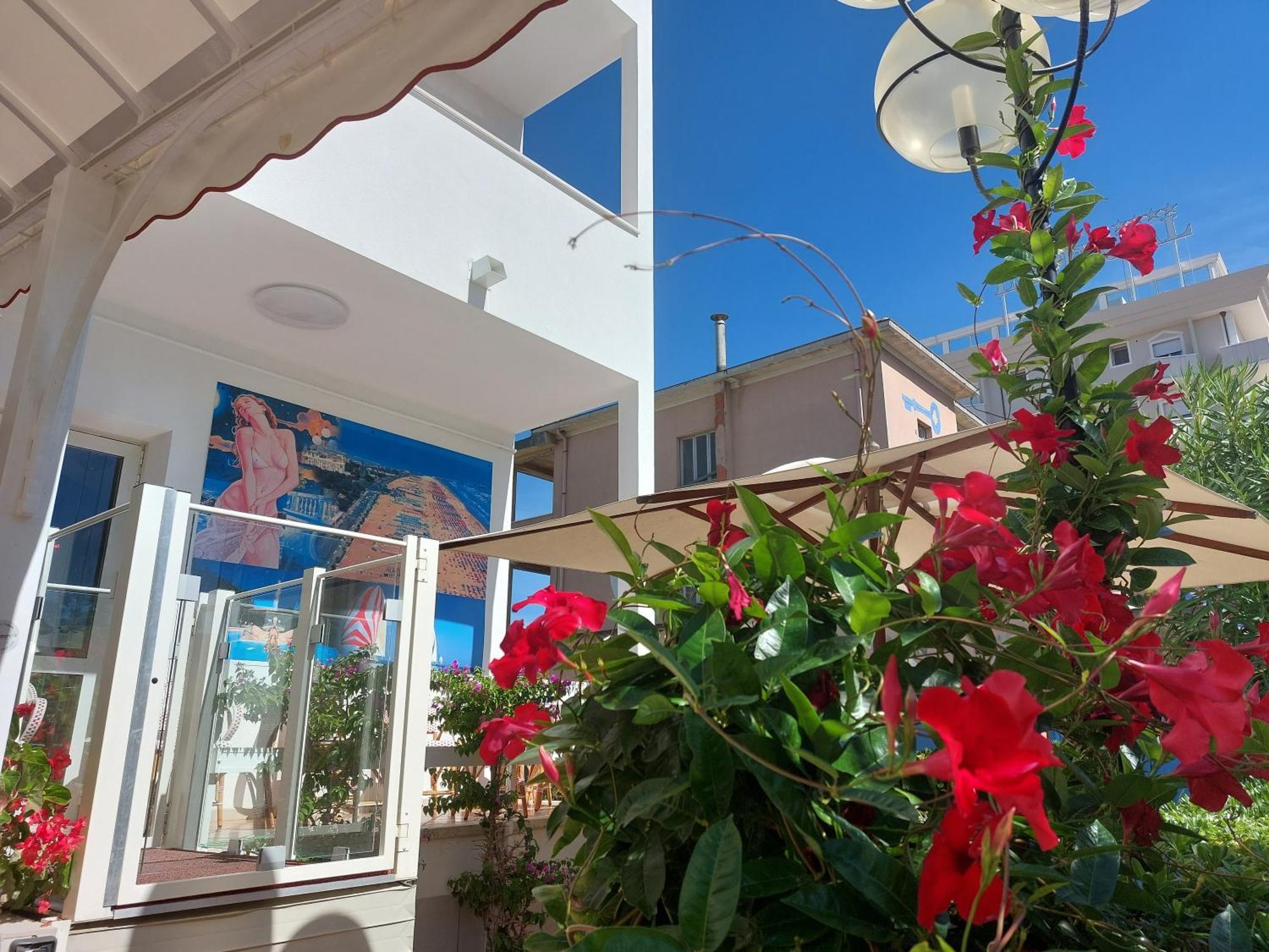 Hotel Driade Sul Mare リミニ エクステリア 写真